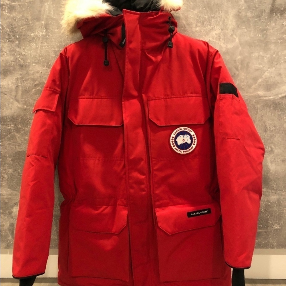 Canada goose